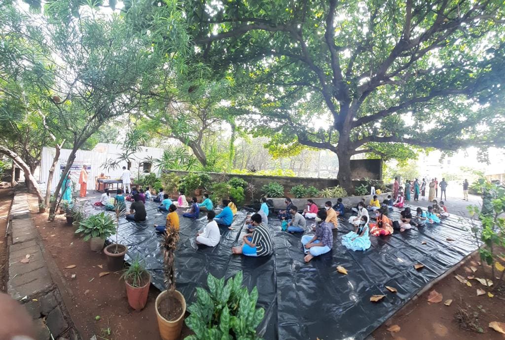 Outdoor yoga class with participants practicing on mats under large trees.
